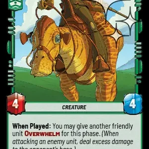 Kaadu STWU FOIL LOF INGLES